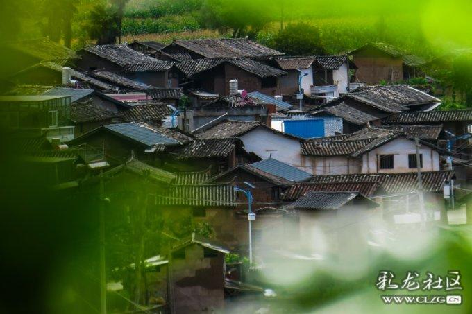 全民剧本大师内置菜单