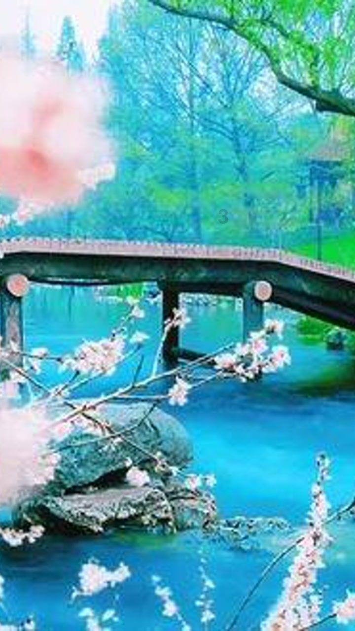 嘉日单词